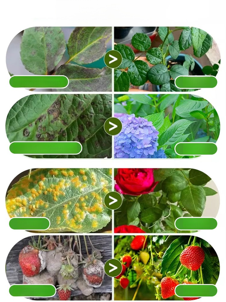 【A bottle diluted with 1000 jin of water】Plant and fruit tree garden clearing agent