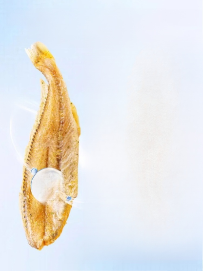 Dried small fish that is extremely difficult to catch in the deep sea