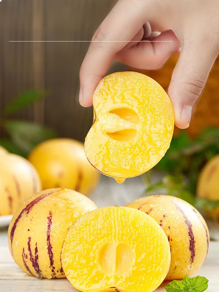 Golden ginseng fruit seeds with milky aroma