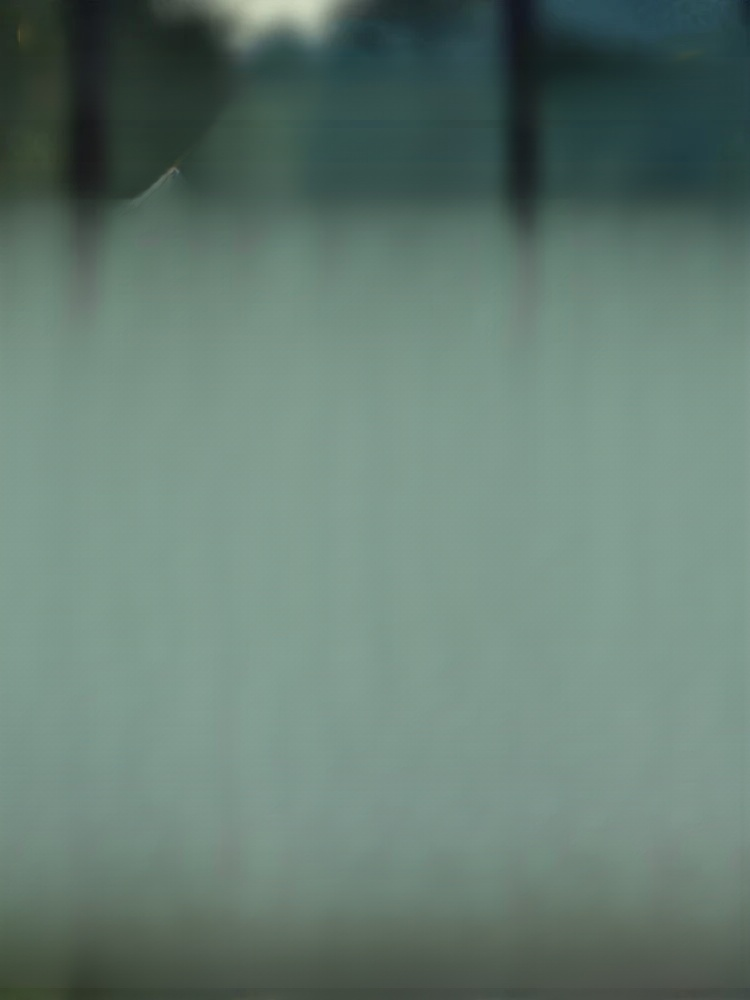 Plant black hair stick