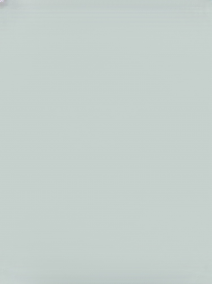 [Vitamin C Bomb] Organic Red Guava Saplings