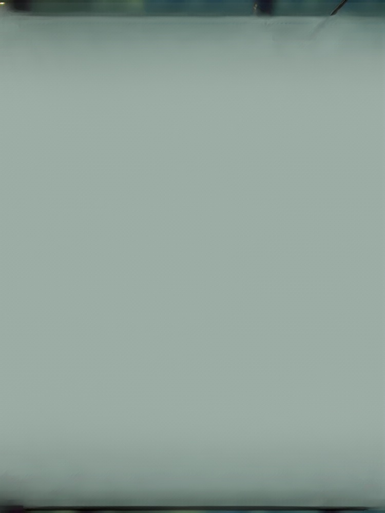 Plant black hair stick