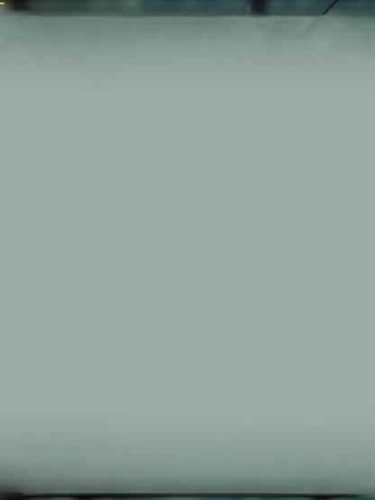 Plant black hair stick