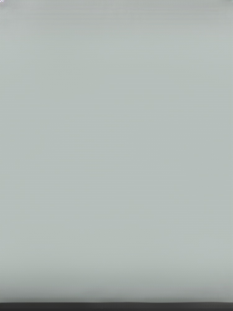 Industrial-grade dust removal snow-blowing turbo fan