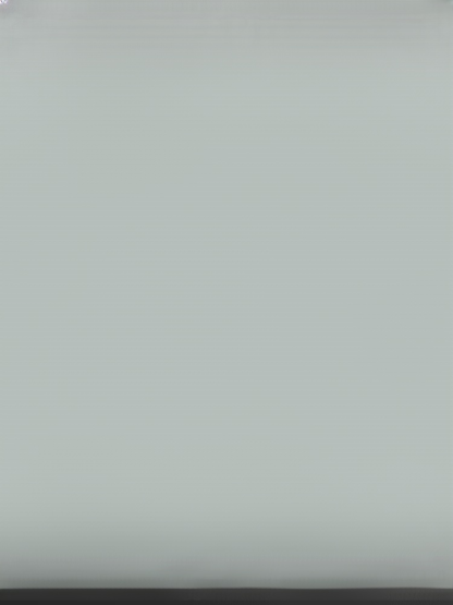 Industrial-grade dust removal snow-blowing turbo fan