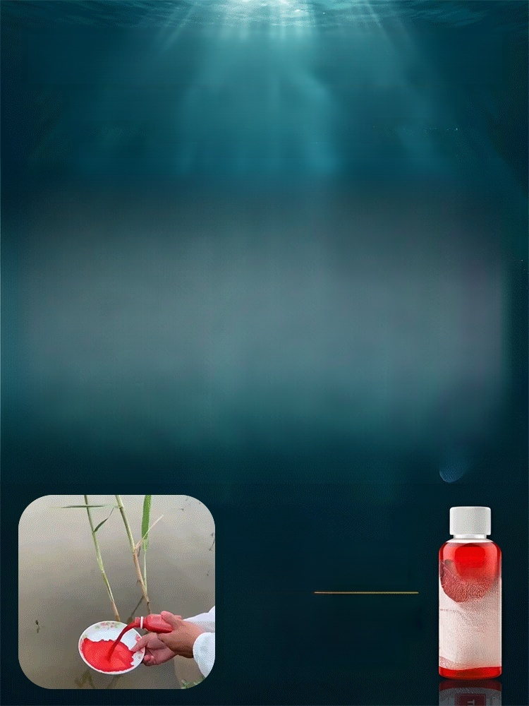 【5s Fishing】Special Liquid Scent Fish Attractant