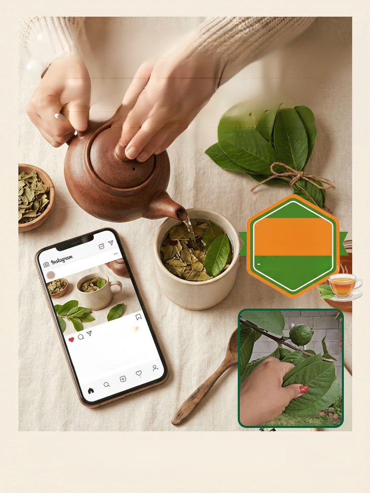 [Vitamin C Bomb] Organic Red Guava Saplings