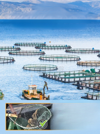 Crispy ready-to-eat small sea crab