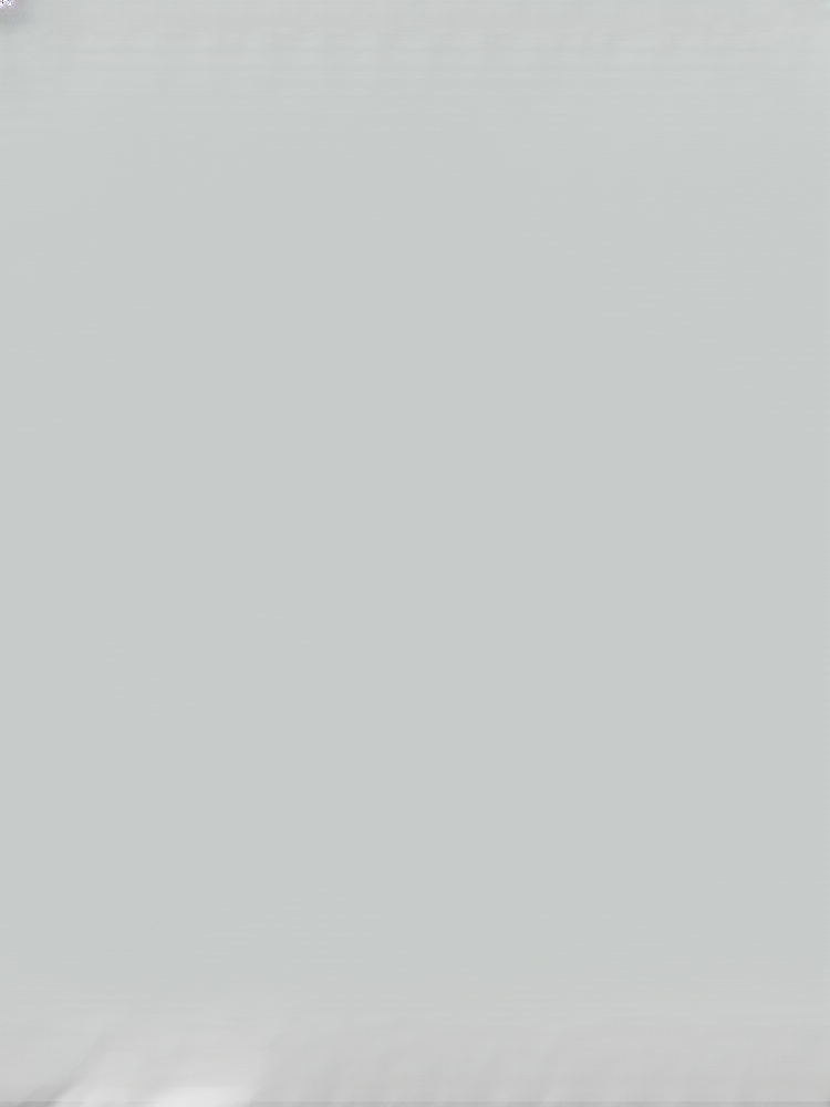 Industrial-grade dust removal snow-blowing turbo fan