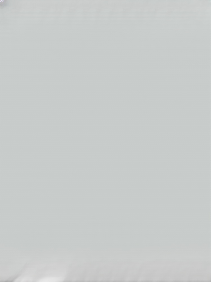 Industrial-grade dust removal snow-blowing turbo fan