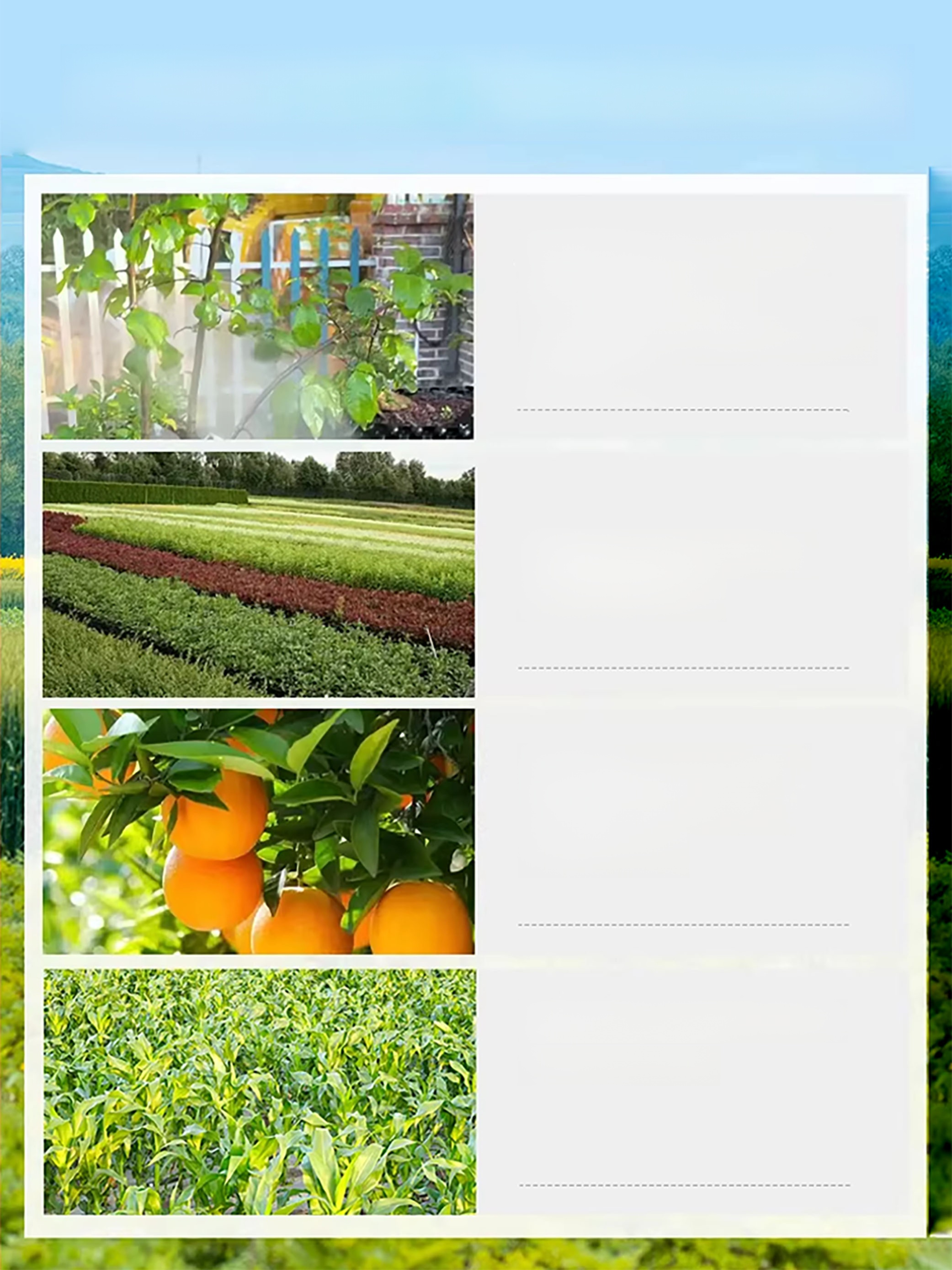 【A bottle diluted with 1000 jin of water】Plant and fruit tree garden clearing agent