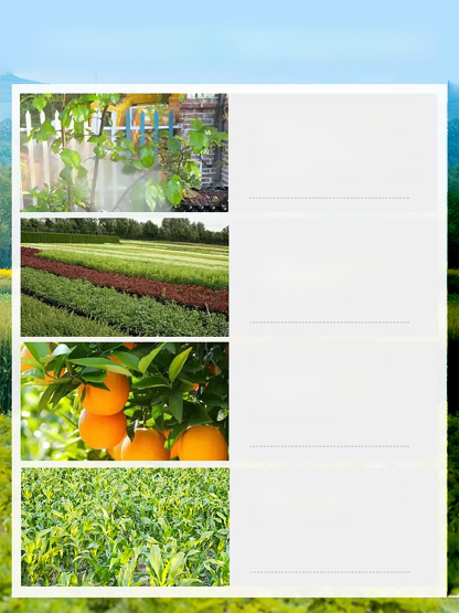 【A bottle diluted with 1000 jin of water】Plant and fruit tree garden clearing agent