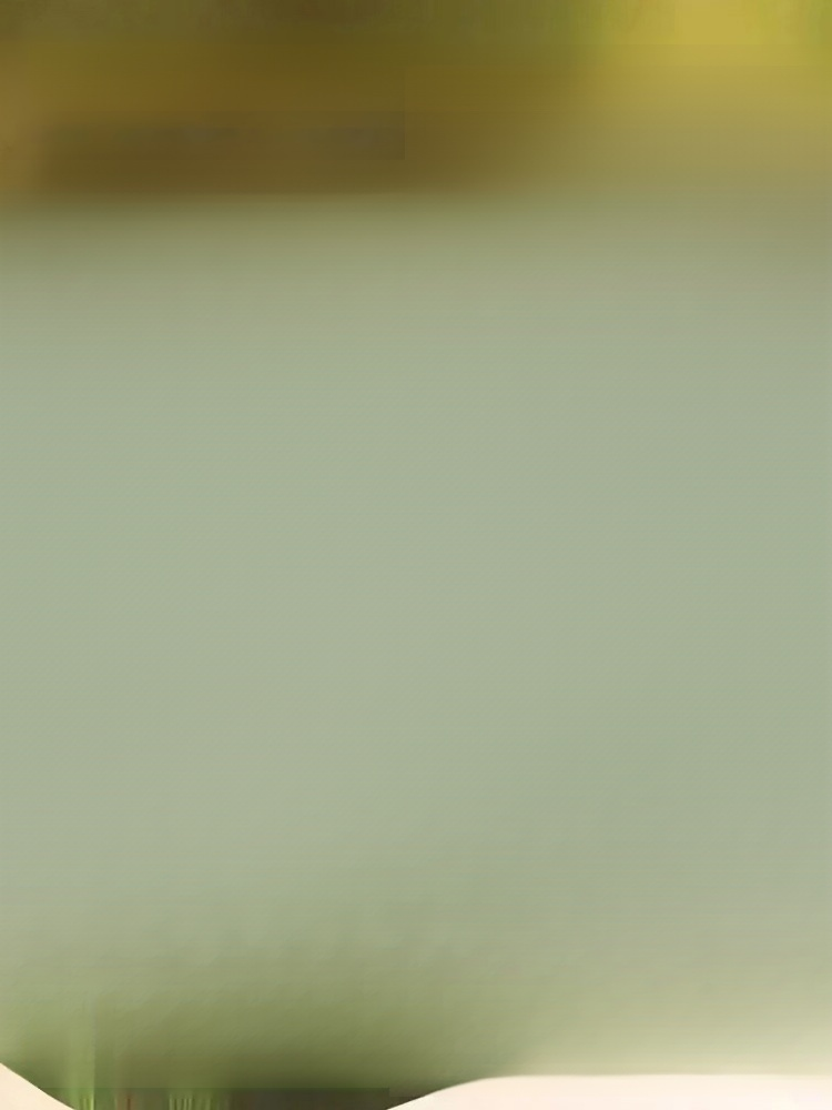 Plant black hair stick