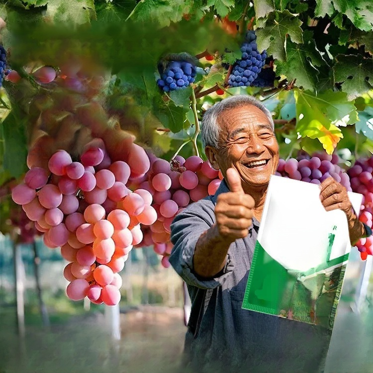 Controlled-Release Fertilizer for Flowers and Fruits