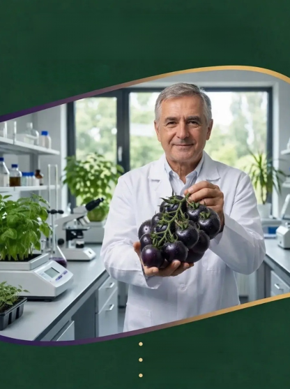 [New Product from the Academy of Agricultural Sciences] Blueberry and Tomato Seeds