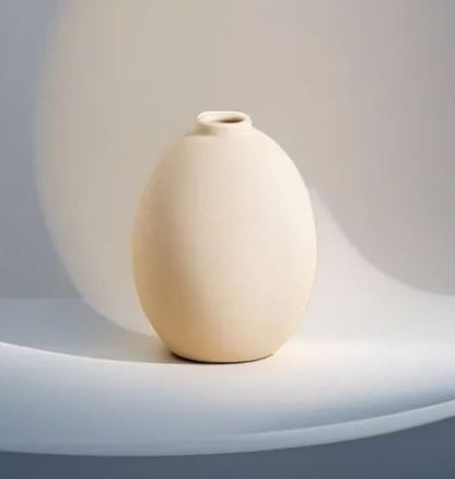 Home living room entrance flower arrangement decorations