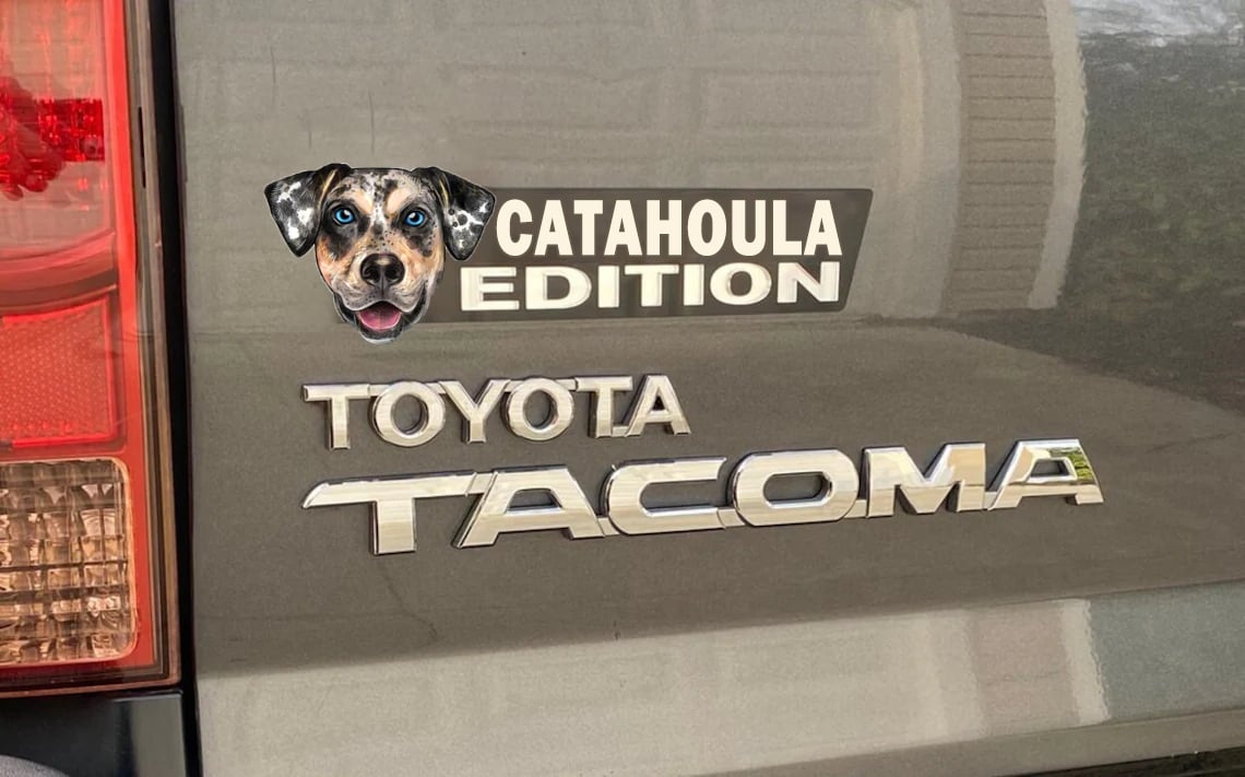 Dog Car Badge