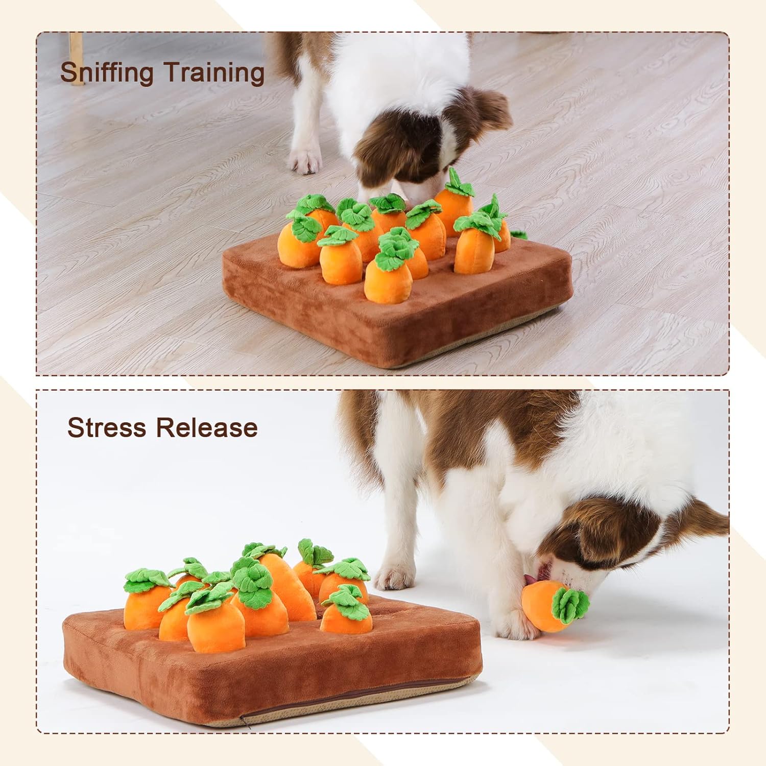 Interactive Dog Toys - Developing Your Pet's Brain