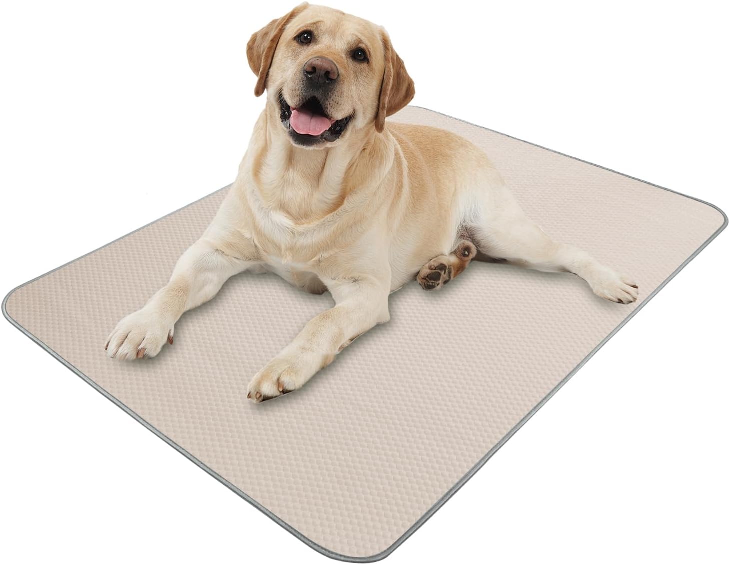 Summer Dog Cooling Mat