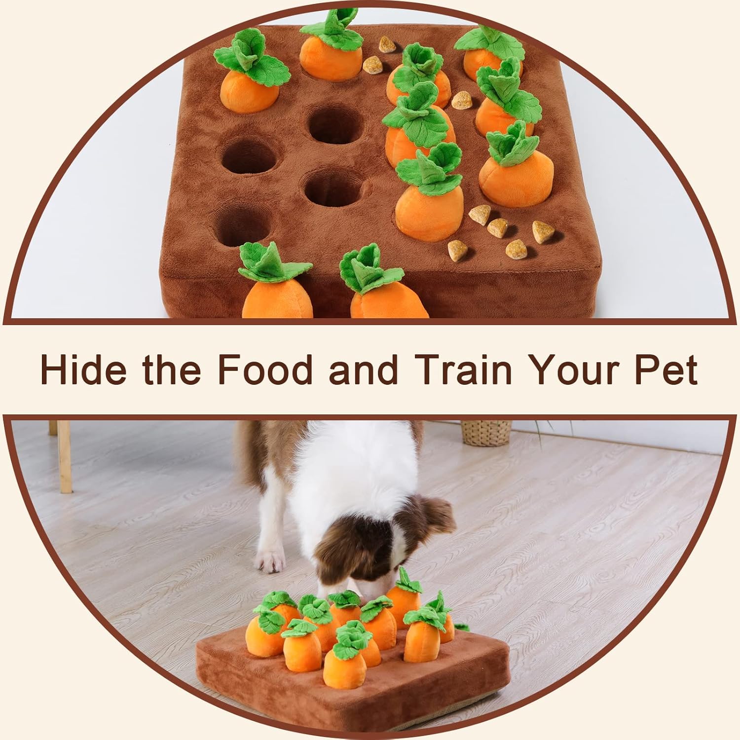 Interactive Dog Toys - Developing Your Pet's Brain