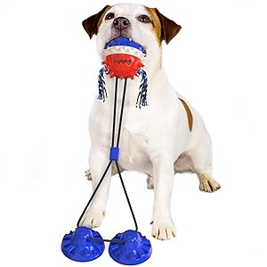 Suction Cup Dog Toy Tug of War