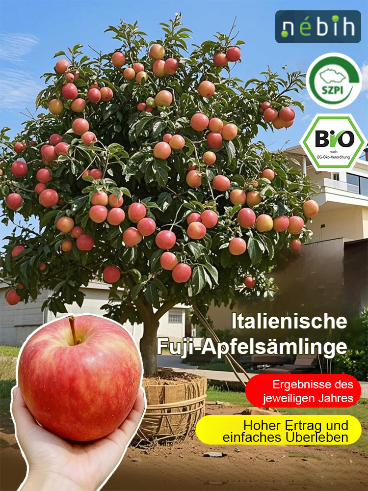 🌱Roter Fuji-Setzling - kinderleicht zu züchten! Mit Erde und Wasser garantiert anwachsend - sonst 5-fache Rückerstattung