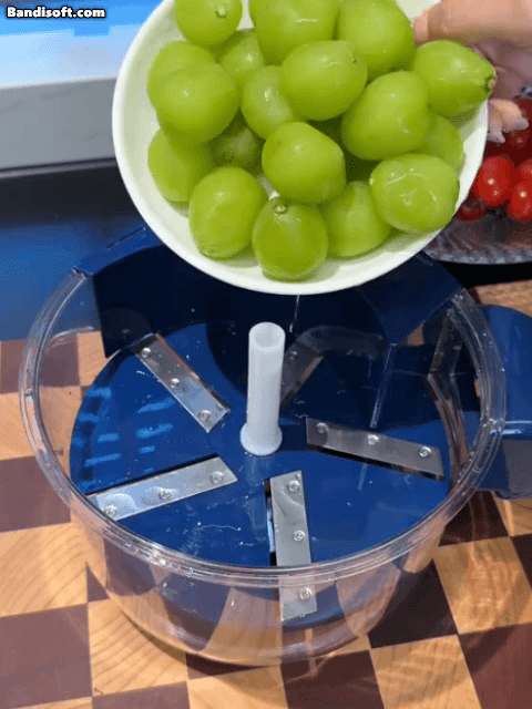 Tragbares automatisches Obstschälgerät