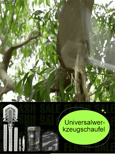 Mehr als nur ein Spaten – ein Werkzeug