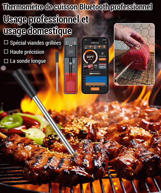 Thermomètre bluetooth pour viande grillée