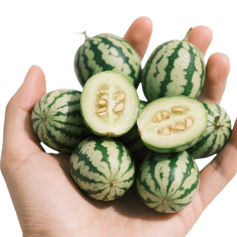 Wassermelonensamen