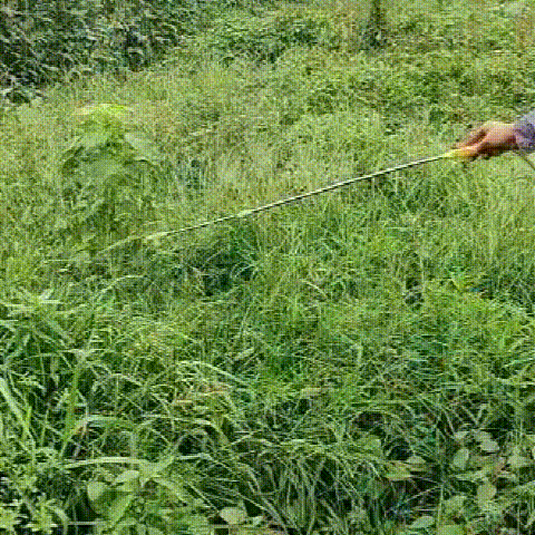 295b9e78a60cb3e59016476fe37290b8.gif