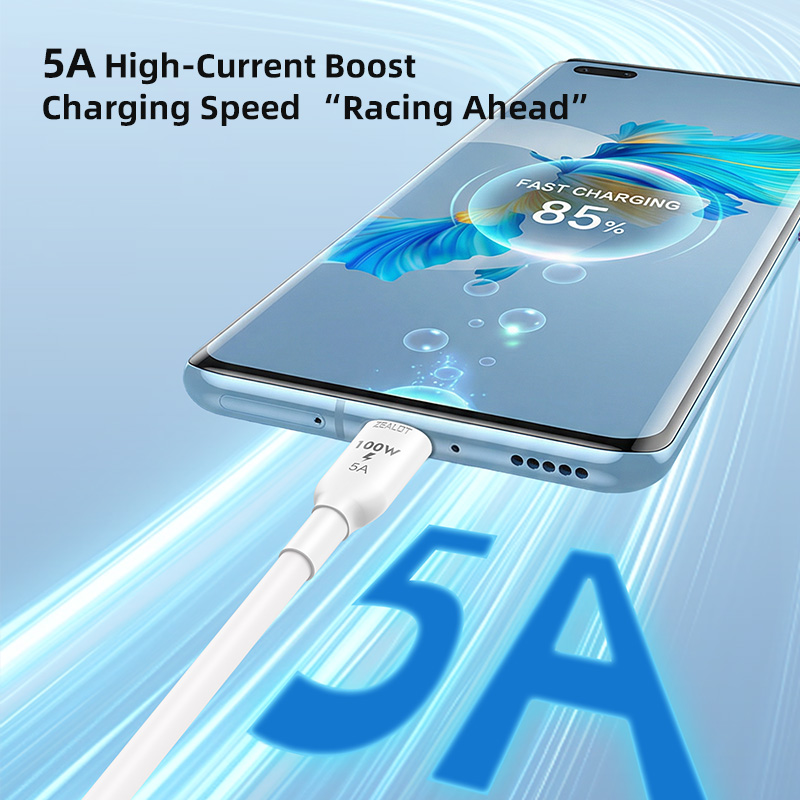 ZELAOT 100W Fast Charging Cable