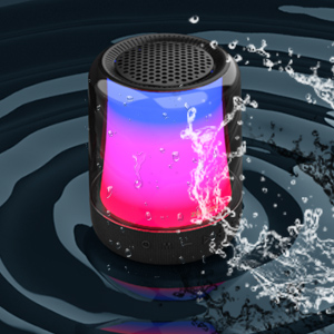 S66 Bluetooth Speaker
