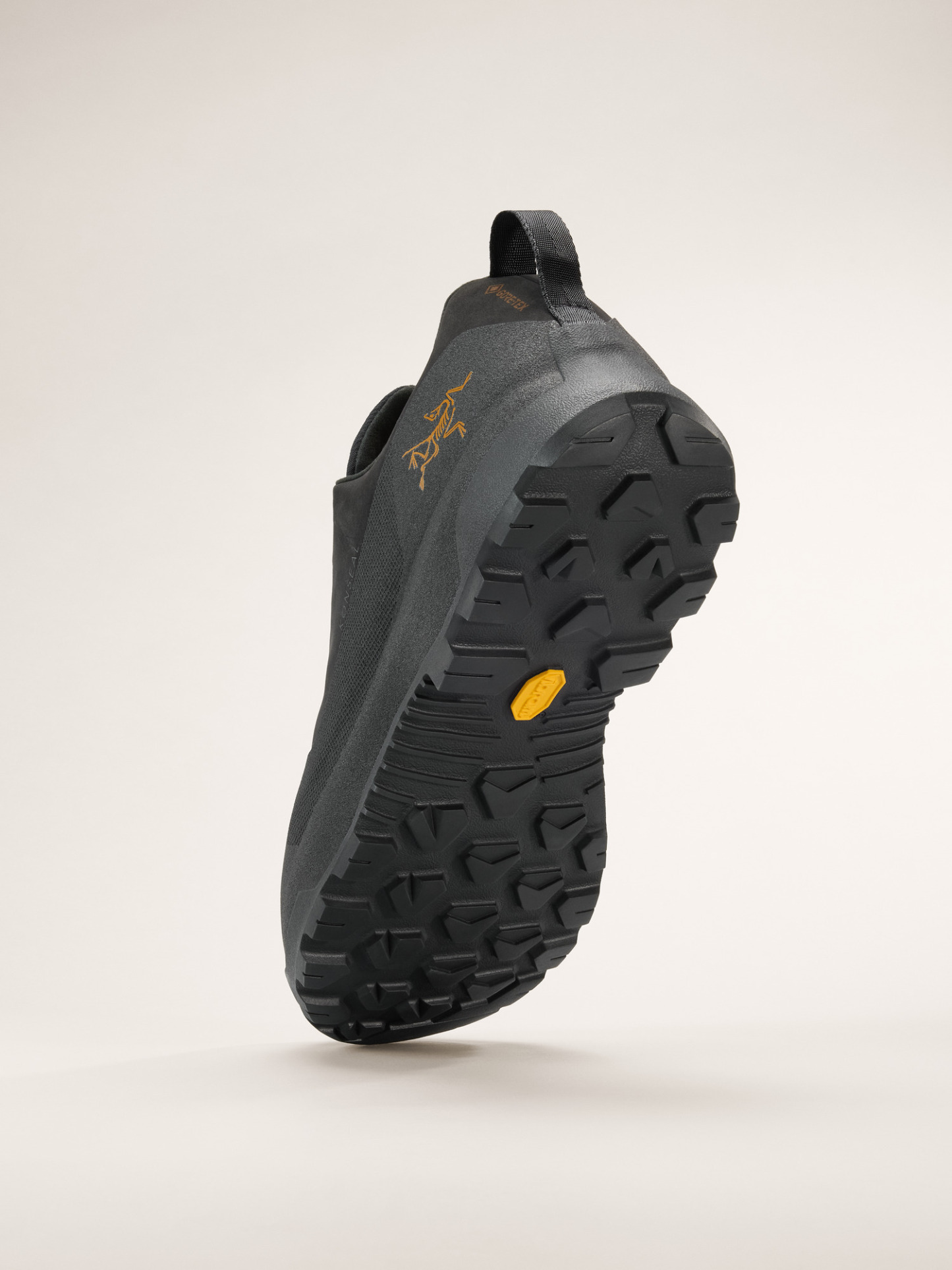 Konseal GTX Shoe Men's