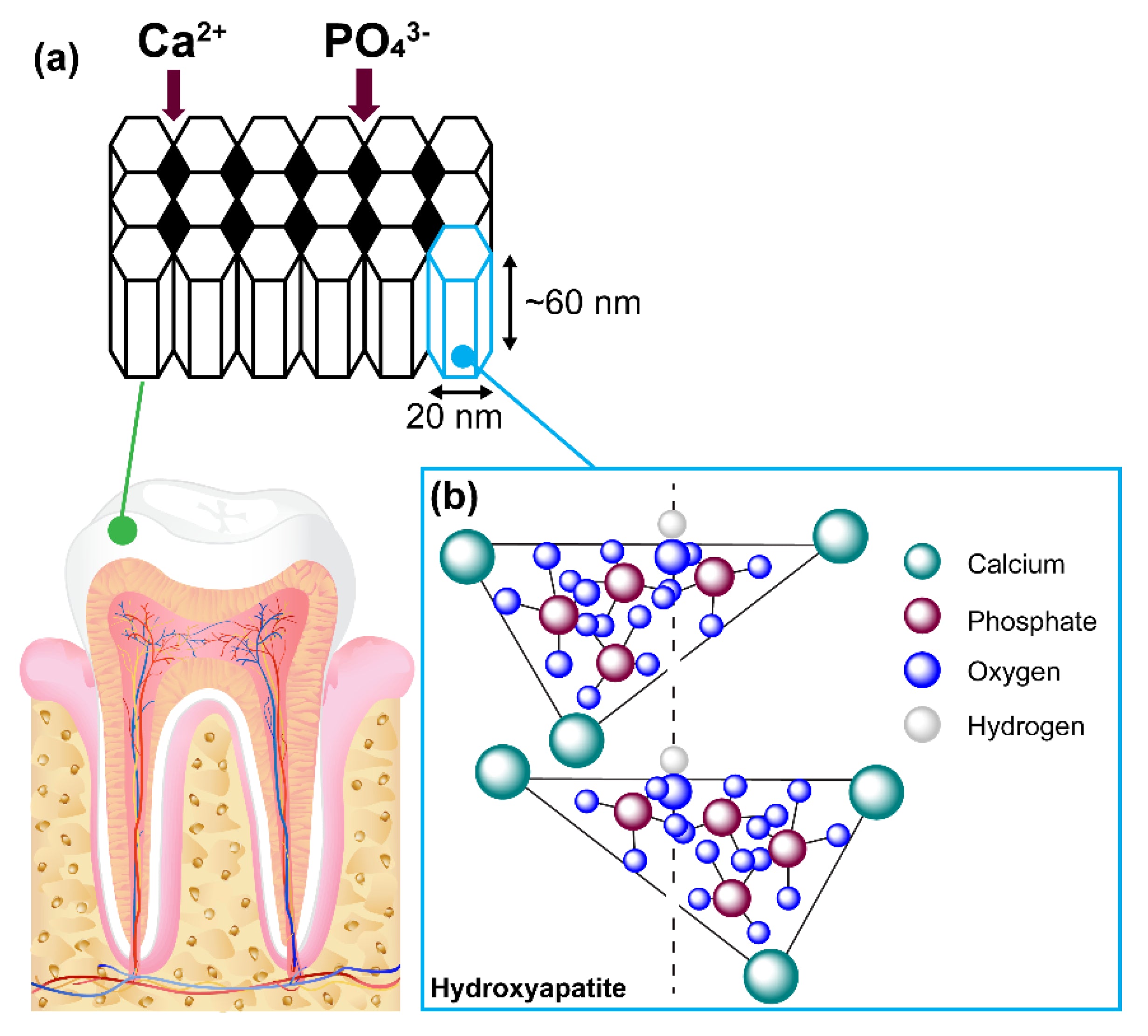 Oyikey® Tooth Restoration Mineral Powder