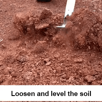Ultimate All-in-One Weeding Tool 🌿 Manganese Steel 🛡️ Rustproof ⏳ Saves 2.5h Daily 🦾 Effortless Use