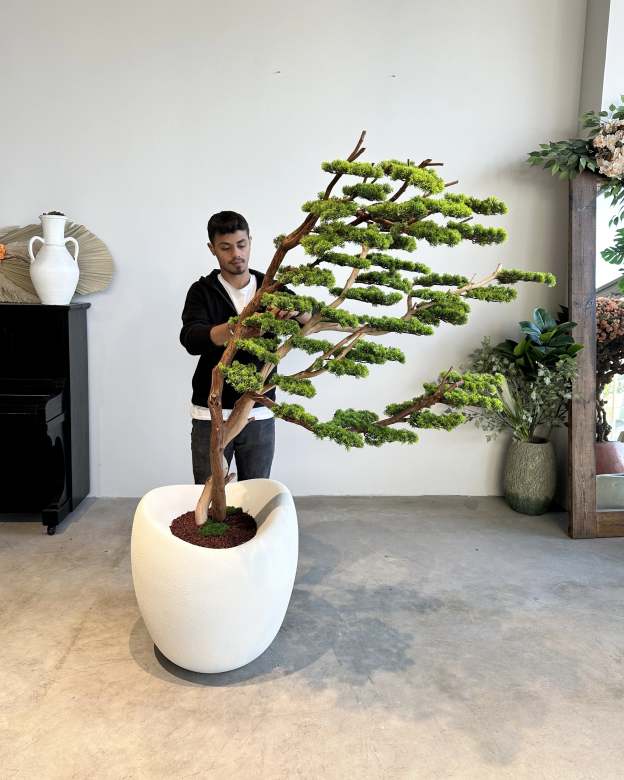 Artificial Bonsai Tree Sharamiki Wind 2