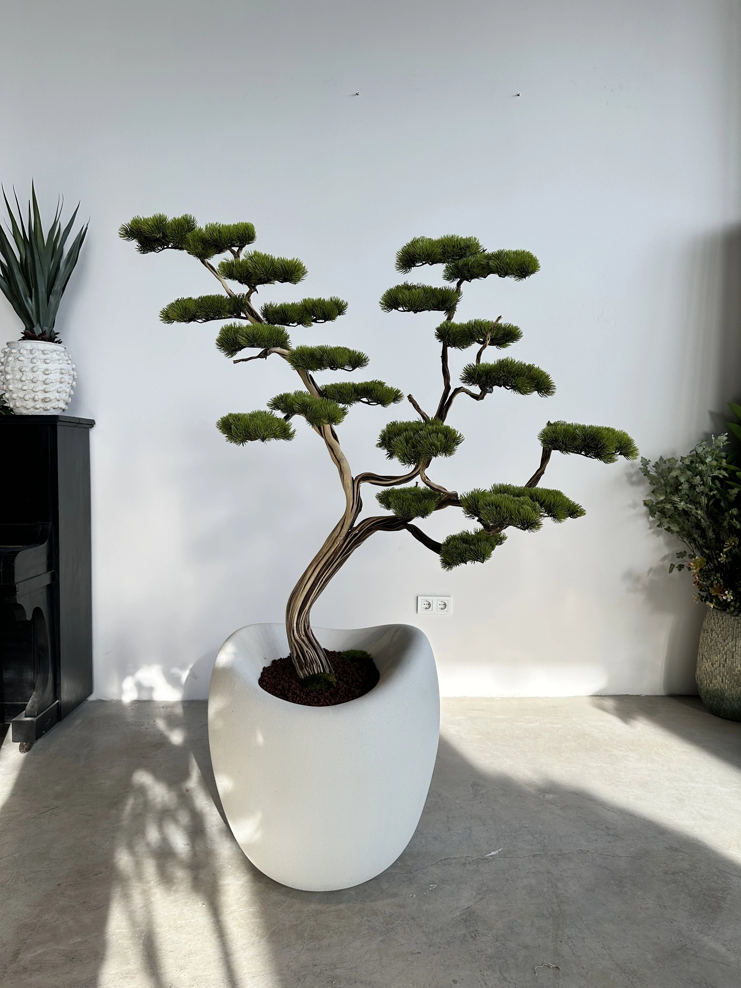 Artificial Bonsai Manzanita Ruzo