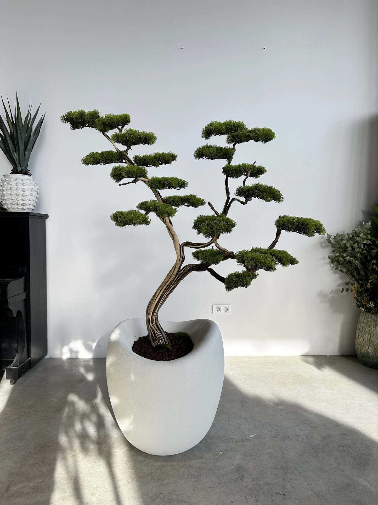 Artificial Bonsai Manzanita Ruzo