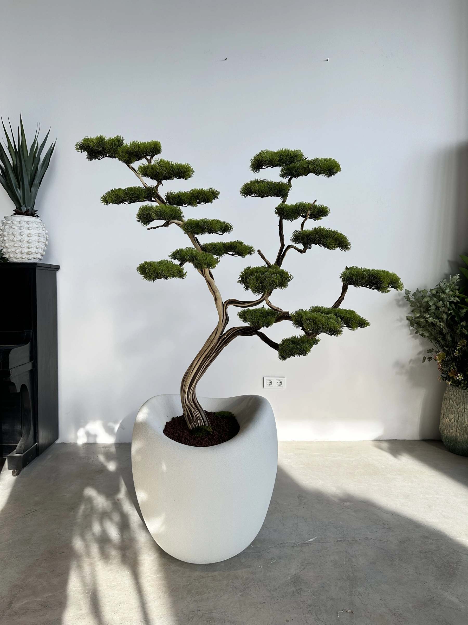 Artificial Bonsai Manzanita Ruzo