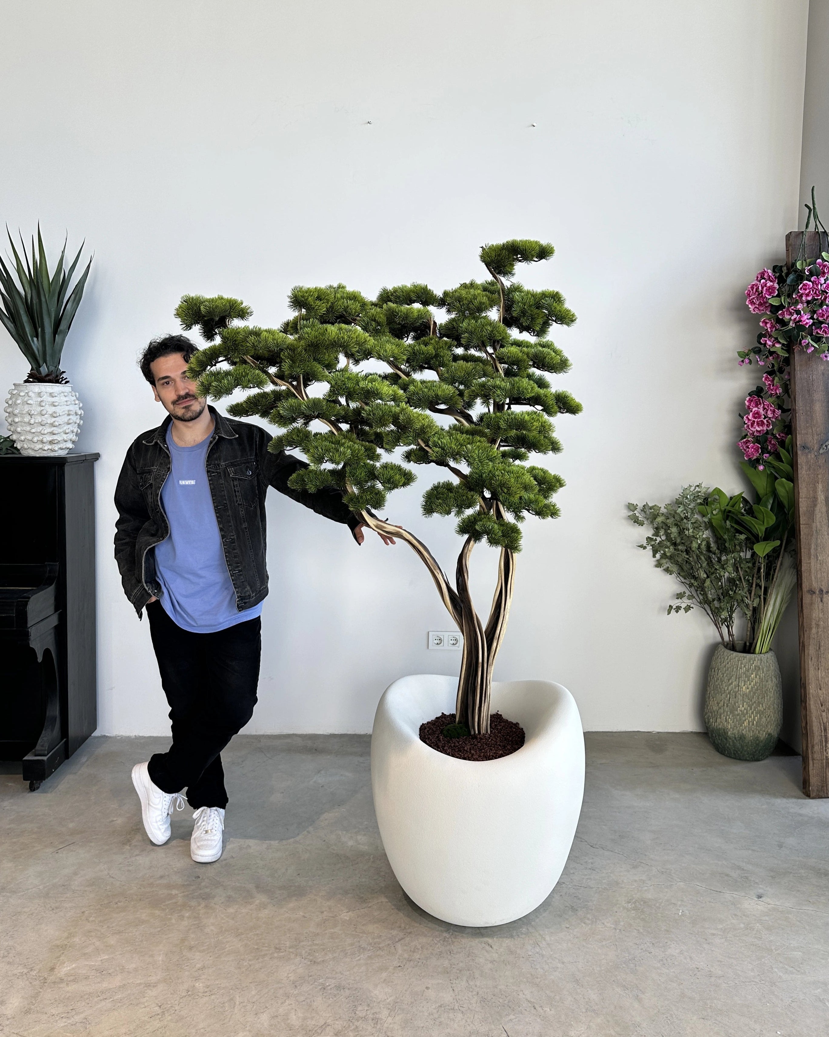 Artificial Bonsai Manzanita Saga