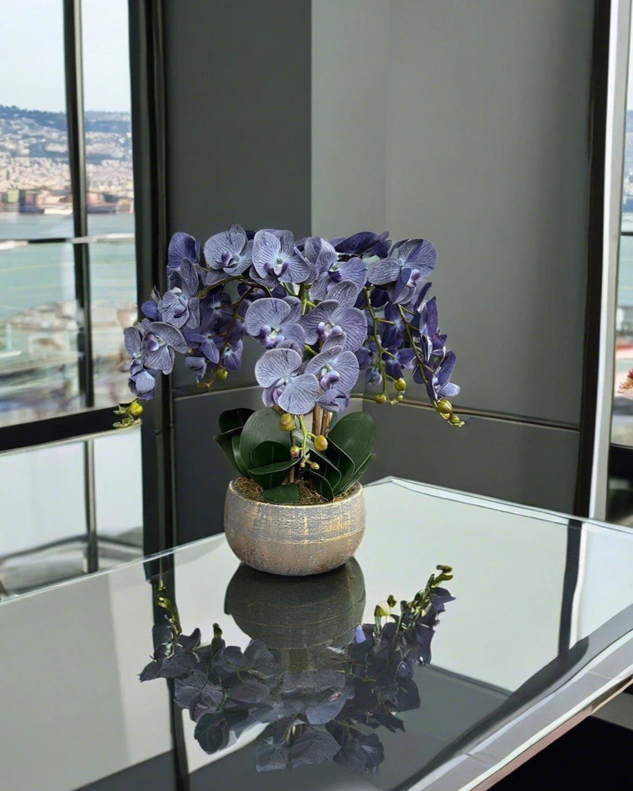 Very Fairy Orchid Arrangement