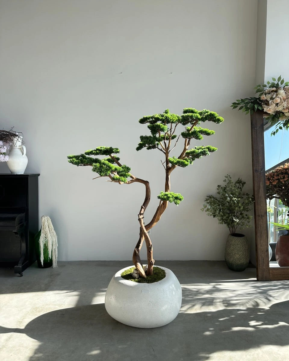 Artificial Bonsai Tree Mont Blanc