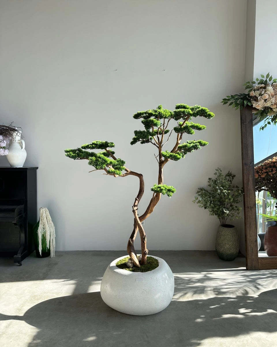 Artificial Bonsai Tree Mont Blanc
