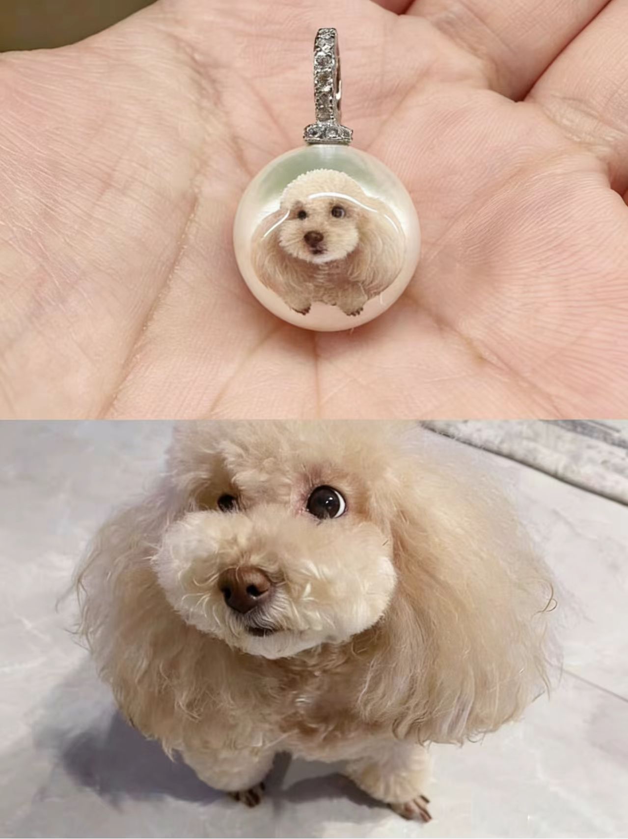 💎Custom-made pet pearl necklace based on provided image