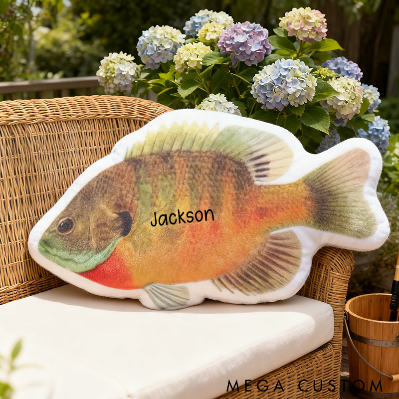 Personalized Fish Shaped Pillow Funny Fish Pillow Custom Name Cushion for Fishing Enthusiasts Realistic Design Graphic 3D Print Soft Soft and Perfect for Young Fishing Lovers Home Decor or Gifts