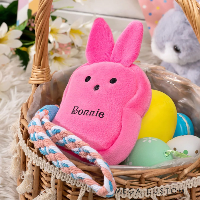 Personalized Macaron Color Cute Bunny Plush Coin Purse Wallet with Name Easter Basket Stuffers Birthday Gift for Kids