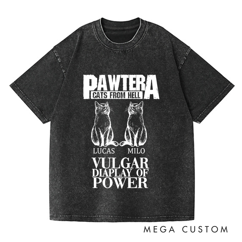 Personalized Washed T-Shirts Pawtera Cats from Hell Vulgar Display of Power T-Shirt