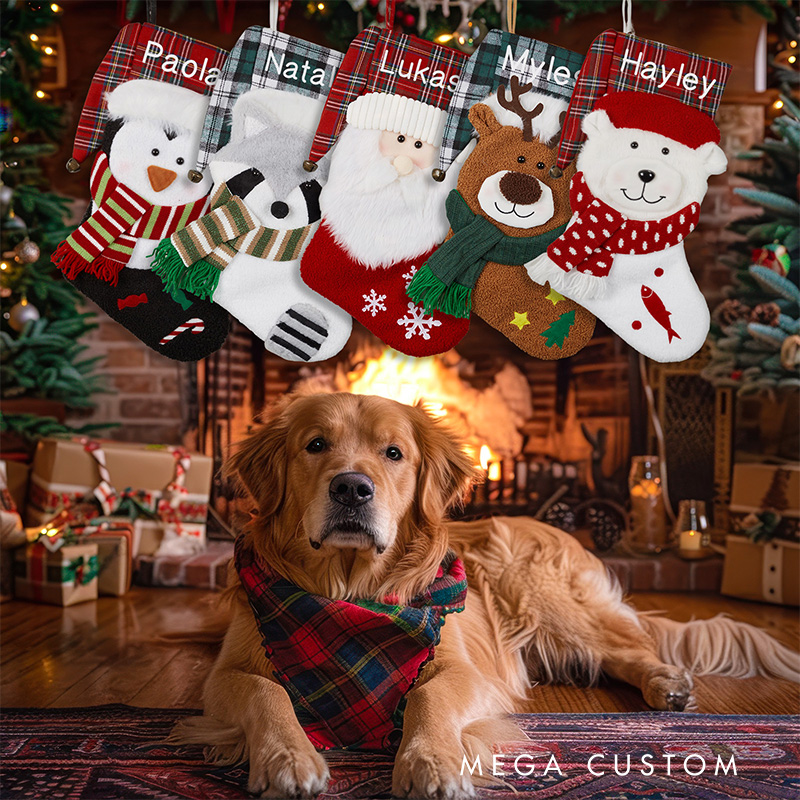 Personalized 3D Family Christmas Stocking with Name Embroidered Christmas Stocking with Name Monogram Stockings