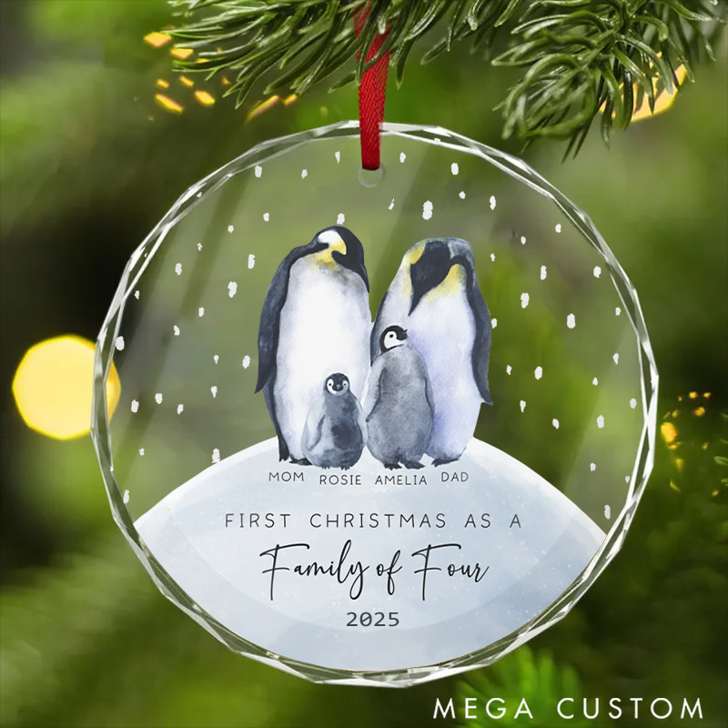 Personalized Family Christmas Ornaments Spreading Holiday Happiness with Personalized Designs for Our Quartet
